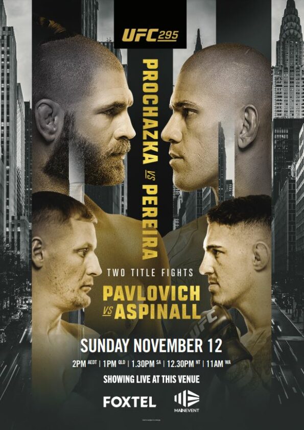 UFC 295 Web Poster